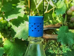 Flytrap for fruitfly PET screwable / Fruchtfliegen- Essigfliegen- KEF-Falle