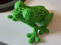 Grenouille Frog Voronoi