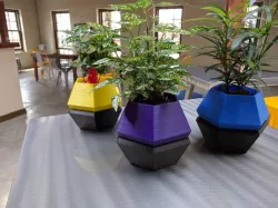 Hexagon Succulent Planter Base