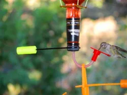 Hummingbird Feeder - Single