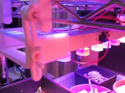 LED Rack Planting