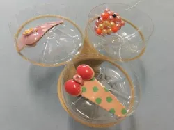 Plastic bottle jewelry holder