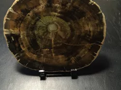 Rock Slice stand