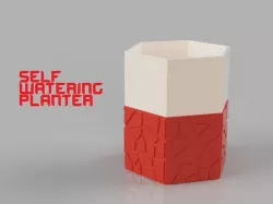 Self-Watering Planter 2