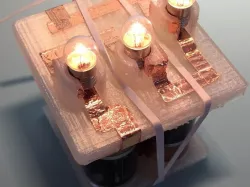 Series and Parallel Circuit Lamp Holders