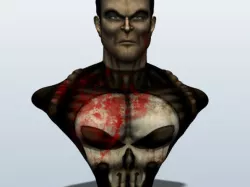 The Punisher