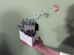 The Triforce Succulent Planter