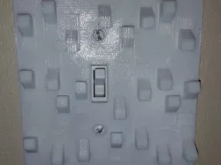 Trick Light Switch Plate