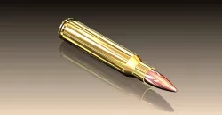.223 REMINGTON