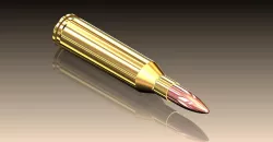.243 WINCHESTER