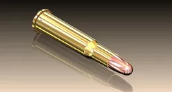 30-30 WINCHESTER