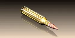6.5mm REMINGTON MAGNUM