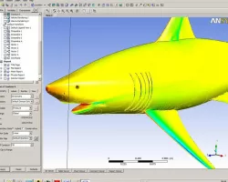 Acoustic patterns of fish or sharks swimming and CFD patterns 