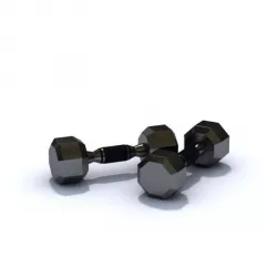 Barbell  Metallic Hand Weights 3D model