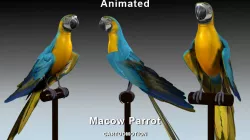 Blue Macaw Parrot Low-poly  3D model