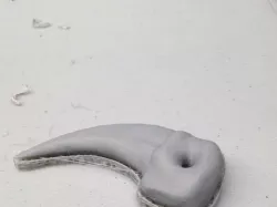 Claw of Bear