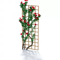 Climbing Flowers 3D model