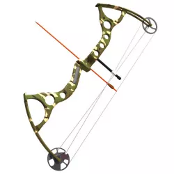 Compound Hunting Bow 3D model