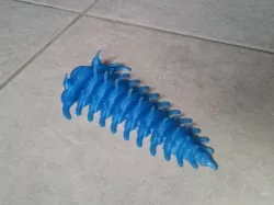Comura Articulatum