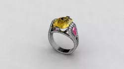 cushion ring
