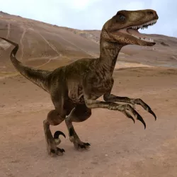 Deynonichus 3D model