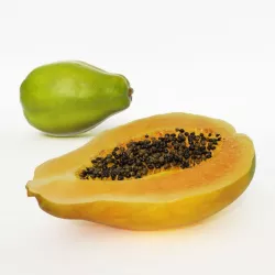 Exotic Fruit Papaya 3D model