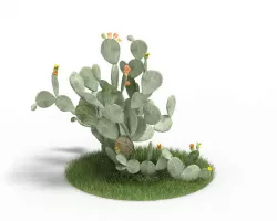 Exotic Green Cactus 3D model