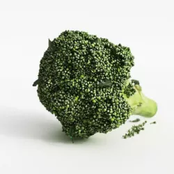 Fresh Green Broccoli 3D model