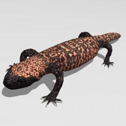 gila monster 3d models 【 STLFinder