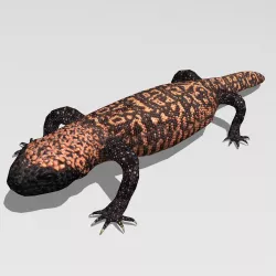 Gila monster Low-poly  3D model