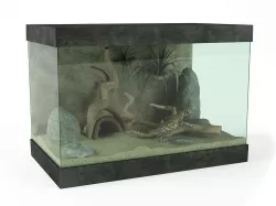 House Lizard Tank 3D model