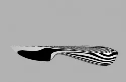 Kitchen knife