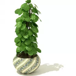 Leaf Plant With Ceramic Pot 3D model