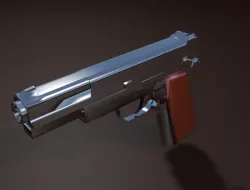 Pistol 