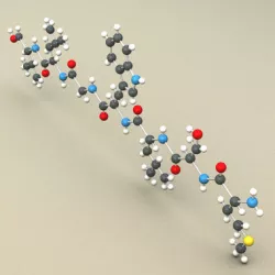 Protein Molecule 3D model