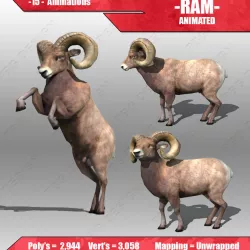 Ram Animated 3D model
