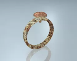 Rusted Hardware Tool Ring 3D model