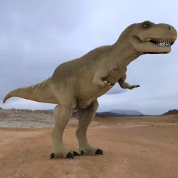 Tyranosaurus Rex 3D model