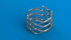 Wave Spring