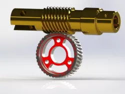 Worm Gear