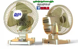 Zass fan