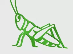 Grasshopper