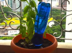 Hassle Free Plant Feeder
