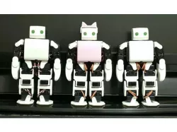 PLEN2 (JROBOT)
