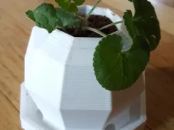 POLYPOT