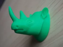 rhino head