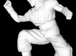 Son Goku SSJGODSSJ