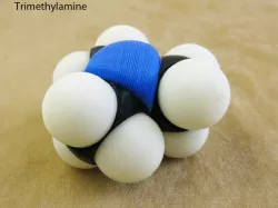 Space-filling molecular models:  Nitrogen expansion set