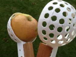 Apple Picker