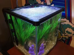 Aquarium Lid For Fluval Chi